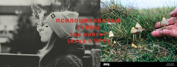 МДПВ Новодвинск