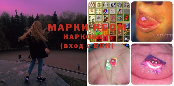 МДПВ Новодвинск