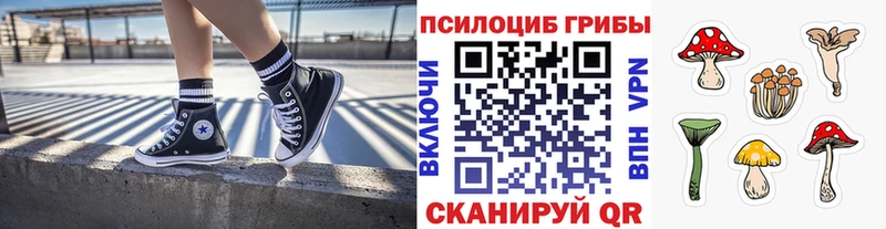Псилоцибиновые грибы ЛСД  Рассказово 