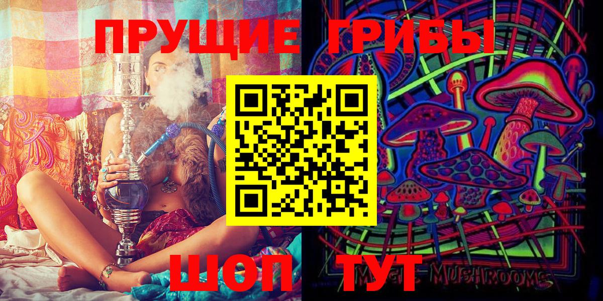 Рассказово  Псилоцибиновые грибы Psilocybe  Вход с VPN  Галлюциногенные грибы прущие грибы 